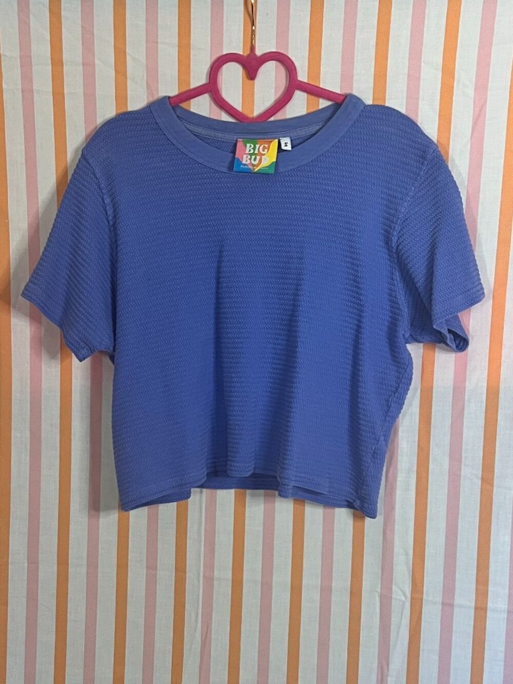 Big Bud Press Cornflower Blue Crop Top